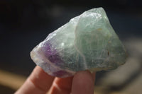 Natural Cobbed Watermelon Fluorite Specimens  x 24 From Uis, Namibia