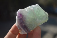 Natural Cobbed Watermelon Fluorite Specimens  x 24 From Uis, Namibia