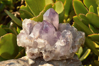 Natural Pale Jacaranda Amethyst Quartz Clusters x 2 From Mumbwe, Zambia - TopRock