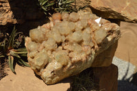 Natural XXL Stunning White Phantom Smokey Quartz Cluster  x 1 From Luena, Congo - TopRock