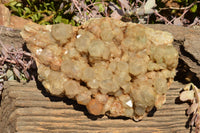 Natural XXL Stunning White Phantom Smokey Quartz Cluster  x 1 From Luena, Congo - TopRock