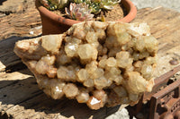 Natural XXL Stunning White Phantom Smokey Quartz Cluster  x 1 From Luena, Congo - TopRock