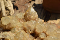 Natural XXL Stunning White Phantom Smokey Quartz Cluster  x 1 From Luena, Congo - TopRock