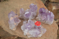 Natural Jacaranda Amethyst Clusters  x 4 From Zambia - TopRock