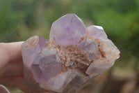 Natural Jacaranda Amethyst Clusters  x 4 From Zambia - TopRock