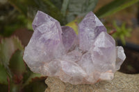 Natural Jacaranda Amethyst Clusters  x 4 From Zambia - TopRock