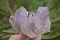 Natural Jacaranda Amethyst Clusters  x 4 From Zambia - TopRock