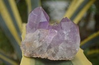 Natural Jacaranda Amethyst Clusters  x 4 From Zambia - TopRock