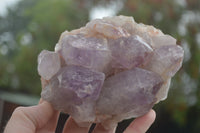 Natural Jacaranda Amethyst Clusters  x 4 From Zambia - TopRock