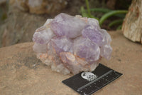 Natural Jacaranda Amethyst Clusters  x 4 From Zambia - TopRock