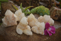 Natural Cascading Etched Window Quartz Clusters  x 6 From Madagascar - TopRock