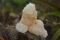 Natural Cascading Etched Window Quartz Clusters  x 6 From Madagascar - TopRock