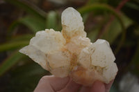 Natural Cascading Etched Window Quartz Clusters  x 6 From Madagascar - TopRock