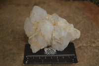 Natural Cascading Etched Window Quartz Clusters  x 6 From Madagascar - TopRock