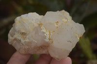 Natural Cascading Etched Window Quartz Clusters  x 6 From Madagascar - TopRock