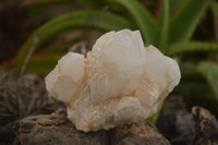 Natural Cascading Etched Window Quartz Clusters  x 6 From Madagascar - TopRock