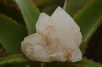 Natural Cascading Etched Window Quartz Clusters  x 6 From Madagascar - TopRock