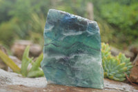 Polished One Side Polished Watermelon Fluorite Slabs x 2 From Namibia - TopRock