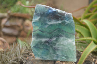 Polished One Side Polished Watermelon Fluorite Slabs x 2 From Namibia - TopRock