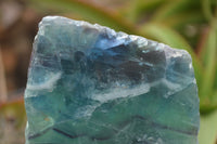 Polished One Side Polished Watermelon Fluorite Slabs x 2 From Namibia - TopRock