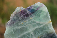 Polished One Side Polished Watermelon Fluorite Slabs x 2 From Namibia - TopRock