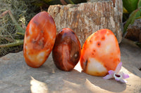 Polished Beautiful Bright Red and Orange Carnelian Agate Standing Free Forms  x 3 From Madagascar - TopRock