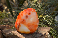 Polished Beautiful Bright Red and Orange Carnelian Agate Standing Free Forms  x 3 From Madagascar - TopRock