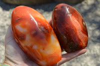 Polished Beautiful Bright Red and Orange Carnelian Agate Standing Free Forms  x 3 From Madagascar - TopRock