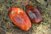 Polished Beautiful Bright Red and Orange Carnelian Agate Standing Free Forms  x 3 From Madagascar - TopRock