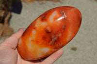 Polished Beautiful Bright Red and Orange Carnelian Agate Standing Free Forms  x 3 From Madagascar - TopRock