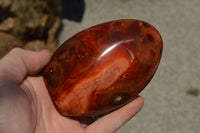 Polished Beautiful Bright Red and Orange Carnelian Agate Standing Free Forms  x 3 From Madagascar - TopRock