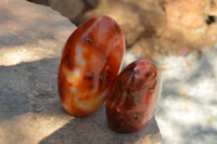 Polished Beautiful Bright Red and Orange Carnelian Agate Standing Free Forms  x 3 From Madagascar - TopRock