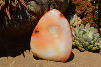 Polished Beautiful Bright Red and Orange Carnelian Agate Standing Free Forms  x 3 From Madagascar - TopRock