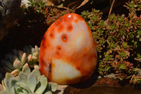 Polished Beautiful Bright Red and Orange Carnelian Agate Standing Free Forms  x 3 From Madagascar - TopRock