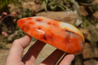 Polished Beautiful Bright Red and Orange Carnelian Agate Standing Free Forms  x 3 From Madagascar - TopRock