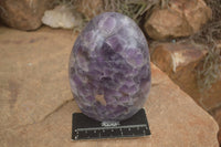 Polished Large Smokey Amethyst Standing Free Form  x 1 From Madagascar - TopRock