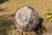 Polished XXL Flower Dream Amethyst Sphere With Custom Palisandre Rosewood Stand  x 2 From Madagascar - TopRock