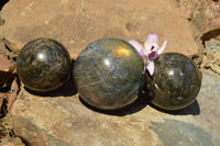 Polished Beautiful Labradorite Spheres With Gold Flash  x 3 From Tulear, Madagascar - TopRock