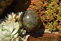 Polished Beautiful Labradorite Spheres With Gold Flash  x 3 From Tulear, Madagascar - TopRock