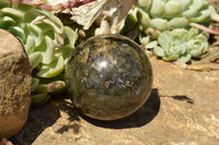 Polished Beautiful Labradorite Spheres With Gold Flash  x 3 From Tulear, Madagascar - TopRock