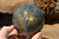 Polished Beautiful Labradorite Spheres With Gold Flash  x 3 From Tulear, Madagascar - TopRock