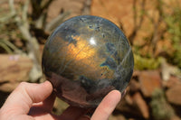 Polished Beautiful Labradorite Spheres With Gold Flash  x 3 From Tulear, Madagascar - TopRock