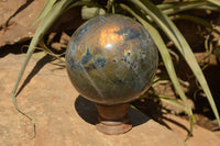 Polished Beautiful Labradorite Spheres With Gold Flash  x 3 From Tulear, Madagascar - TopRock