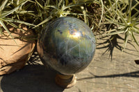 Polished Beautiful Labradorite Spheres With Gold Flash  x 3 From Tulear, Madagascar - TopRock