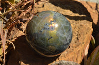 Polished Beautiful Labradorite Spheres With Gold Flash  x 3 From Tulear, Madagascar - TopRock