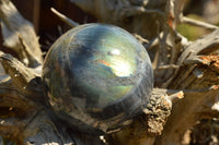 Polished Beautiful Labradorite Spheres With Gold Flash  x 3 From Tulear, Madagascar - TopRock