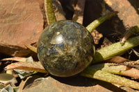 Polished Beautiful Labradorite Spheres With Gold Flash  x 3 From Tulear, Madagascar - TopRock