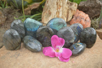 Polished Flashy Labradorite Standing Free Forms  x 12 From Tulear, Madagascar - TopRock