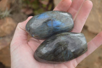 Polished Flashy Labradorite Standing Free Forms  x 12 From Tulear, Madagascar - TopRock