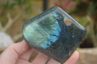 Polished Flashy Labradorite Standing Free Forms  x 12 From Tulear, Madagascar - TopRock